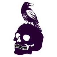 Skull & Raven Solutions logo - Similar company to Without The Box Thinking