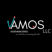 VAMOS LLC logo - Similar company to Team 1144 Project Management & Transformational Leadership