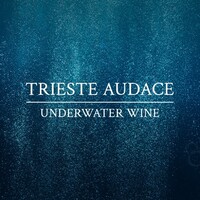 Prosecco Audace Trieste logo - Similar company to Verde Ops