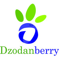 DzodanBerry logo - Similar company to Astra Telekom