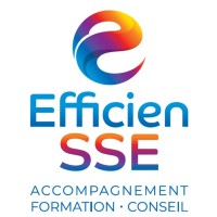 Efficien-SSE logo - Similar company to Arcane Recrutement