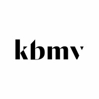KBMV Group logo - Similar company to Mevsar Consulting Group