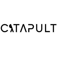 Catapult Credit Services logo - Similar company to Cartera  [Catapult Finance, Llc]