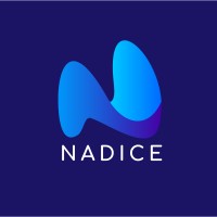 Nadice logo - Similar company to Az Code