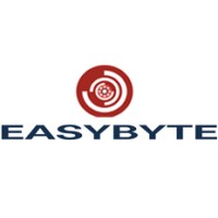 Easybyte Solution logo - Similar company to Easybyte