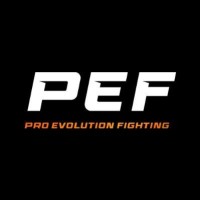PEF MMA (Pro Evolution Fighting) logo - Similar company to I-Cone