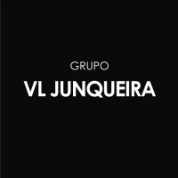 Grupo VL Junqueira logo - Similar company to Vittal Case