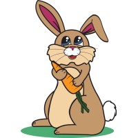 The Money Bunny – Financial Literacy for Young People logo - Similar company to Intentional, Llc