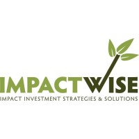 ImpactWise LLC logo - Similar company to The Racial Equity Asset Lab