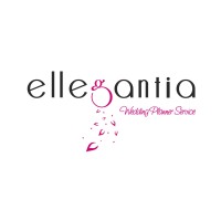Ellegantia logo - Similar company to Ipsum2Pi