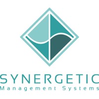 Synergetic Information Systems logo - Similar company to Rsis