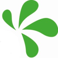 Perfection Schoonmaak logo - Similar company to Viku