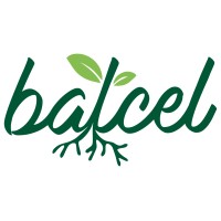Batcel logo - Similar company to Marcheluzzo Impianti S.R.L.