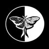 Lumimoth logo - Similar company to Sanjoy