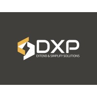 DynaExperts Consulting LLP logo - Similar company to Enterprise Benefit Solutions