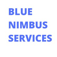 Blue Nimbus Services logo - Similar company to Infonix Solutions Ltd