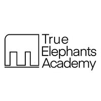 True Elephants Academy logo - Similar company to Swiss Ipg Partners Group