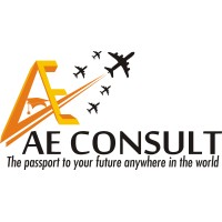 AE CONSULTS logo - Similar company to Tayside Contracts (Official)