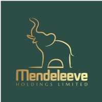 Mendeleeve Holdings Limited logo - Similar company to Future Insurance Investment Planning
