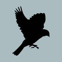 Black Sparrow Business Consulting logo - Similar company to Talkkingqueen