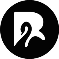 Blkswan | Web Design & Build logo - Similar company to Web Gateway India - Website Design, Website Development, Website Maintenance & Seo Services