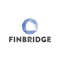 Fin-Bridge Consulting logo - Similar company to Finbridge Advisors