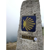 Camino De Santiago