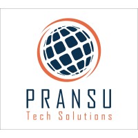 Pransu Tech Solutions logo - Similar company to Stack Delta