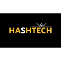 HashTech Solutions logo - Similar company to Build Ai Engine
