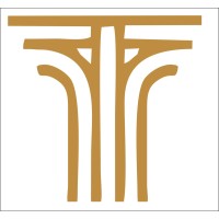 Comtradesol Advisory Services Private Limited logo - Similar company to 1Solutions