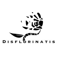 Studio Disflorinatis logo - Similar company to Tangramstudio
