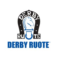 DERBY RUOTE logo - Similar company to Roda