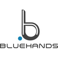 Blue Hands logo - Similar company to Boraste Technologies