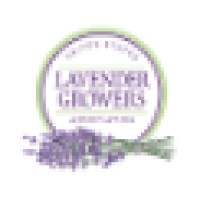 United States Lavender Growers Association logo - Similar company to Shape Future