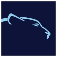 Leopard Solutions logo - Similar company to Surepoint Technologies