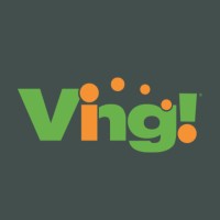 Ving logo - Similar company to Westsafe Services