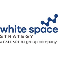 White Space Strategy logo - Similar company to Palladium Digital