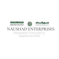 Naushad Enterprises Recruitment Consultancy logo - Similar company to Bluerise