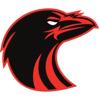 Raven Tech logo - Similar company to Raven Infotech