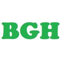 Balding Green Hills logo - Similar company to Mon Agence Web Madagascar