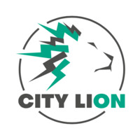 City Lion Sp. z o.o. logo - Similar company to Scanwell.Pl