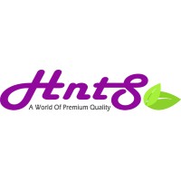 HNTS Group logo - Similar company to Evol Holding