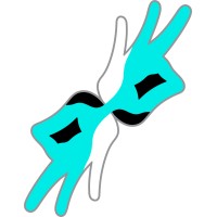 blip 31.69 logo - Similar company to Ossillate