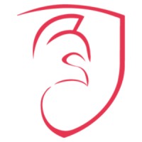 Maguen Cyber logo - Similar company to Blindspot Coverage