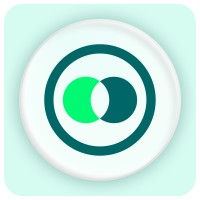 Pennylane logo - Similar company to Costory