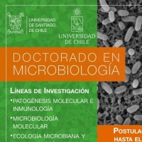 Doctorado Microbiología USACH/UCHILE logo - Similar company to 5Qxt