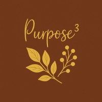 Purpose 3 logo - Similar company to Fractional Hr Outsourcing Solutions Inc