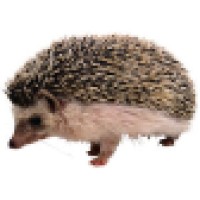 Hedgeware Trading