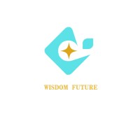 WISDOM OPENSTO TECHNOLOGY SERVICE ENTERPRISE logo - Similar company to Phitech Solutions Ltd.