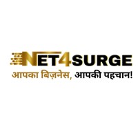Net4Surge logo - Similar company to Reisnet